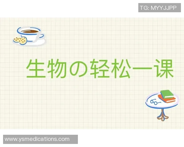 田径赛事判罚规则解析与常见误区剖析助你更好理解比赛公正性