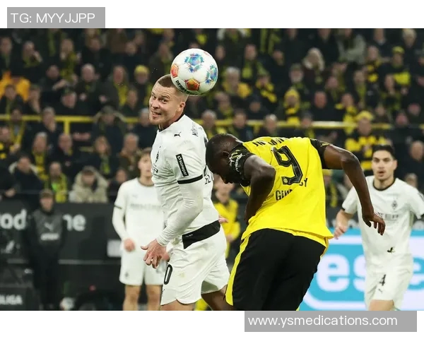 多特蒙德备战德甲，冲击新赛季冠军再上巅峰